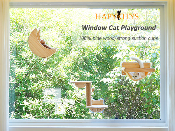 Cat Window Playground