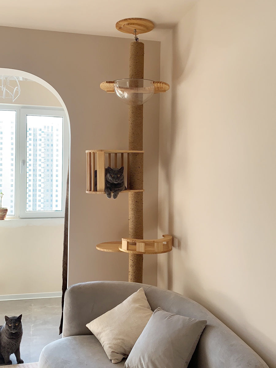 Floor To Celling Cat Tree With Multi