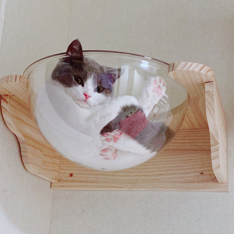 Wall Mounted Cat House Transparent Cat Condo Space Capsule Cat Wall Furniture for Indoor Cats Perching, Sleeping and Climbing